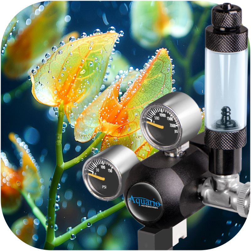 Aquario Professional 2.0 - CO2 set with solenoid valve